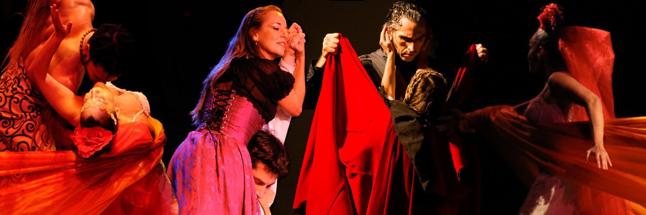 Latin Ballet of VA banner