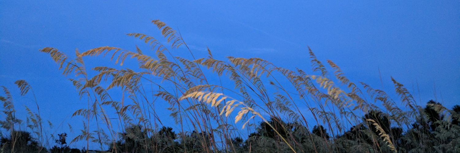 kimdholcombe's profile banner image