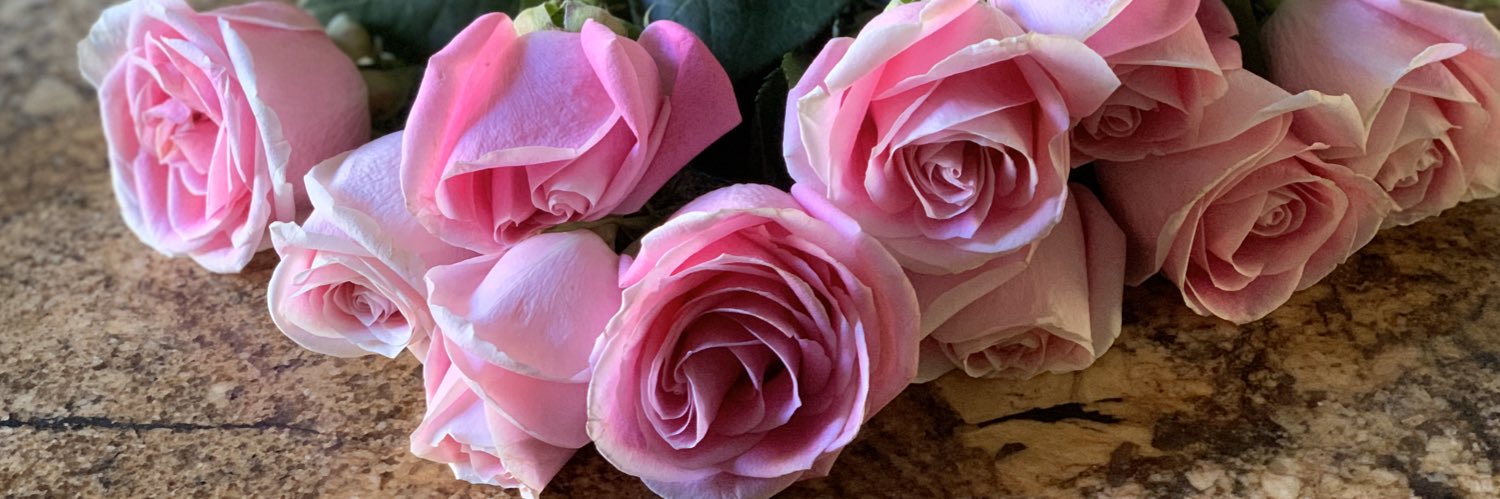jillannc5's profile banner image