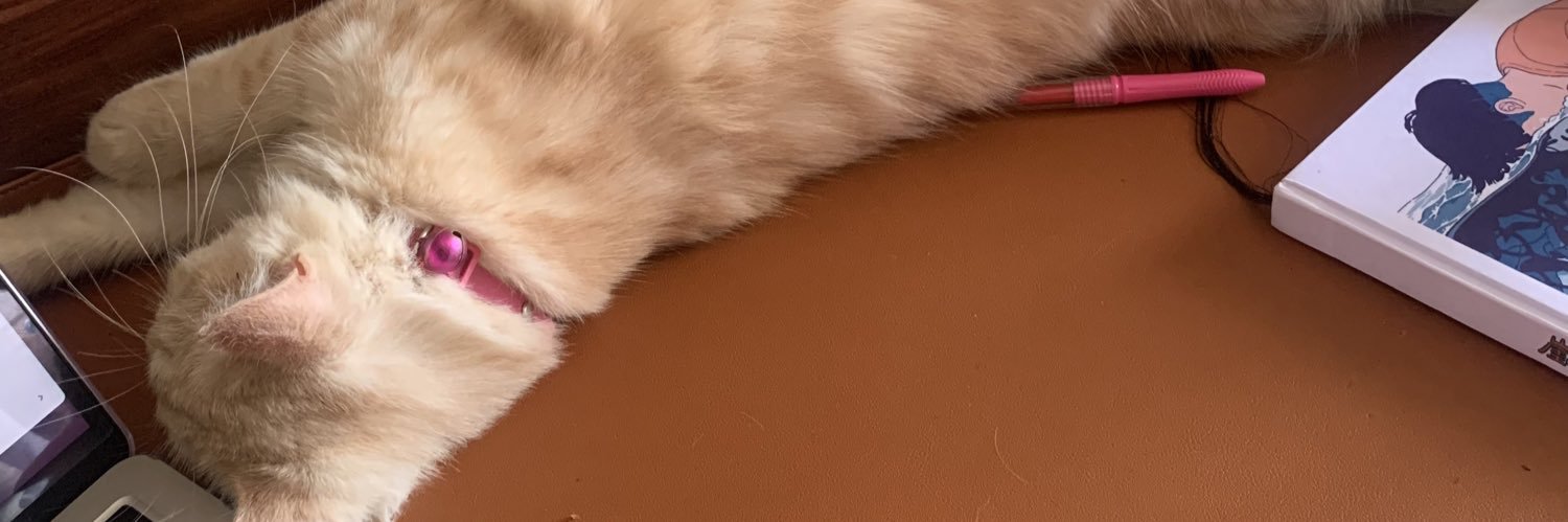 meowntain's profile banner image