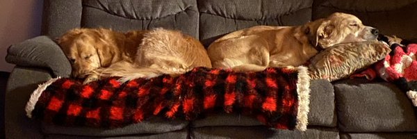 cnaander Profile Banner