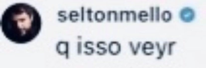 bufo regularis banho e tosa banner