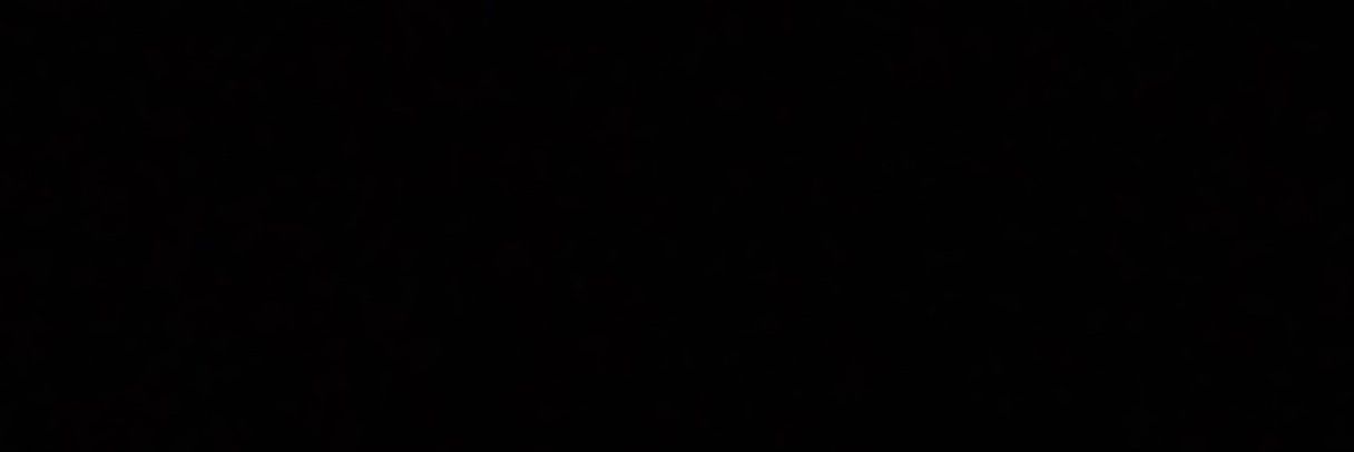 balenaish's profile banner image