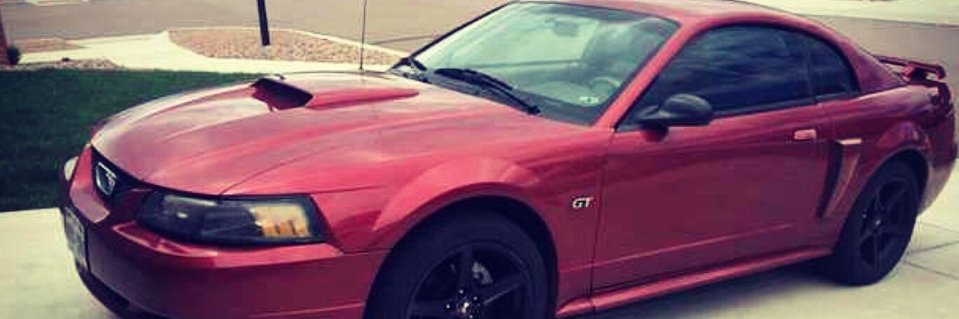 ty_sigler's profile banner image