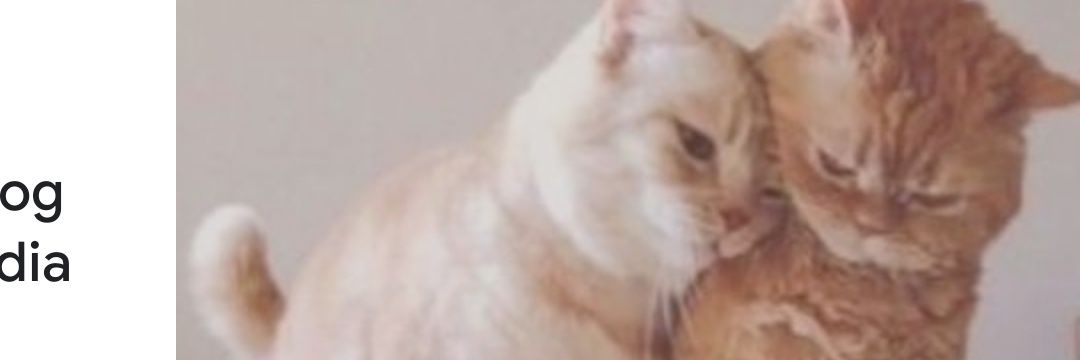 addiniaja's profile banner image