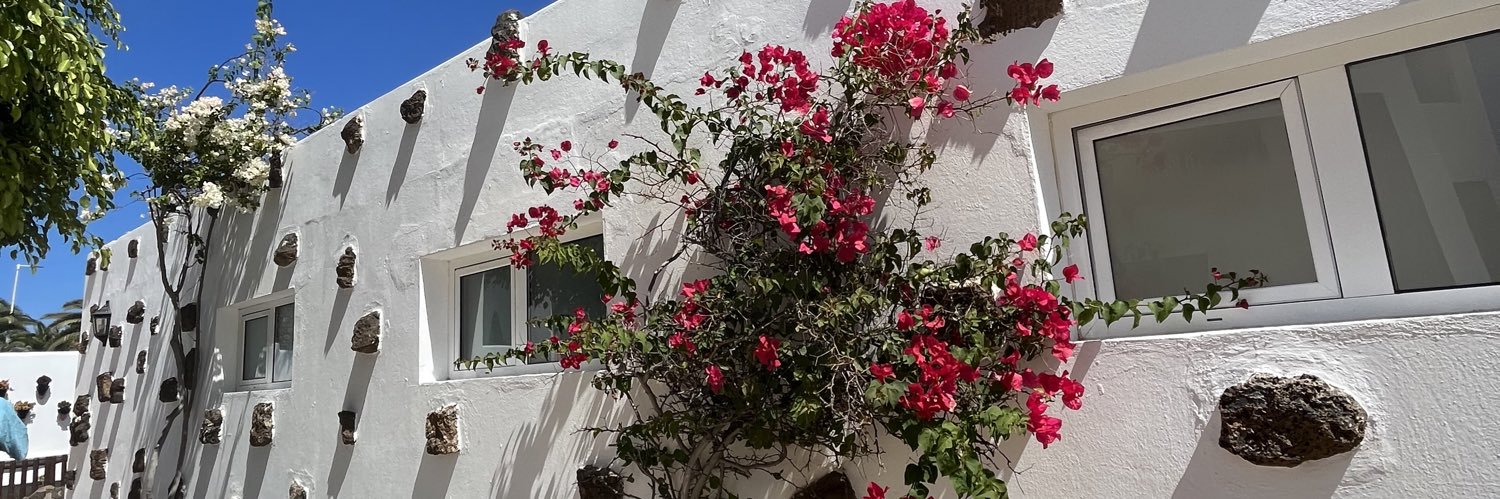 Shakela Clark banner