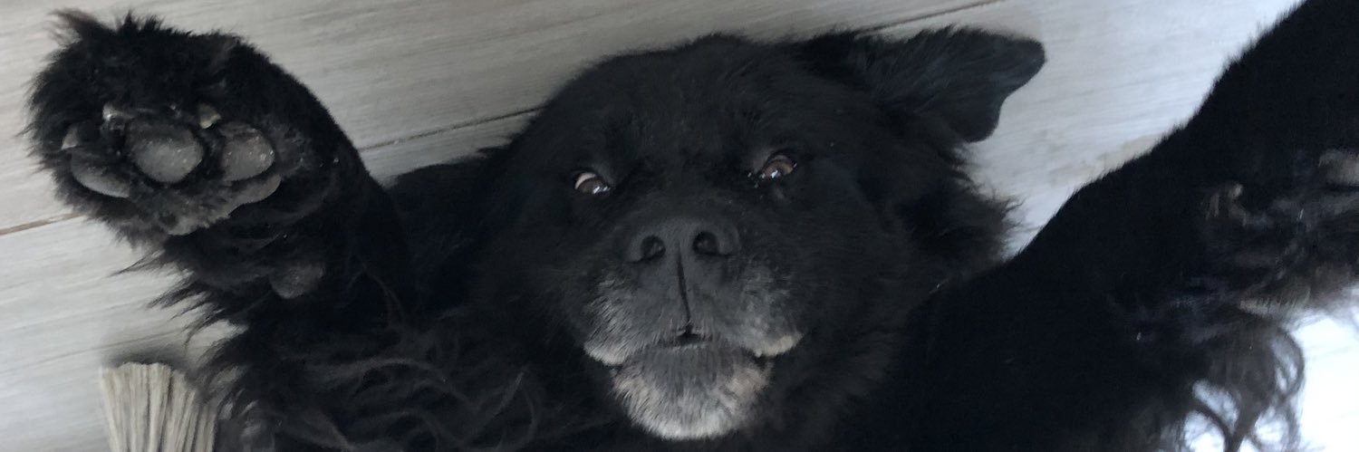 aaaliggg's profile banner image