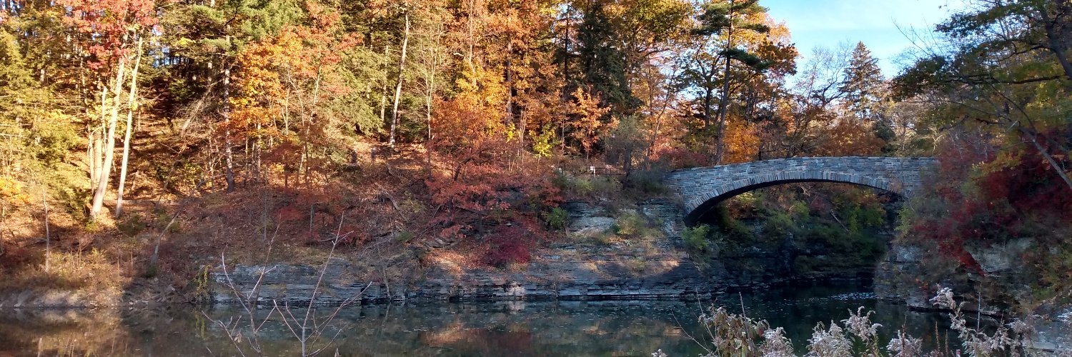 Sara Beth Cebry banner