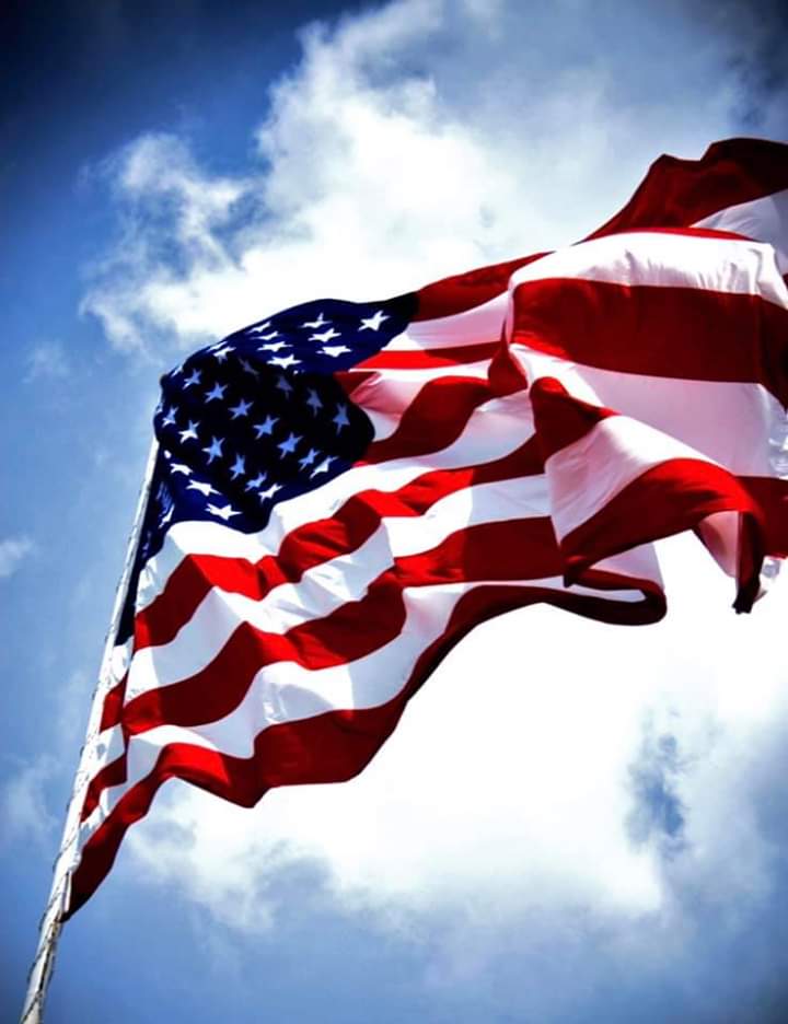 Made In America, Defend & Protect Our Constitution banner