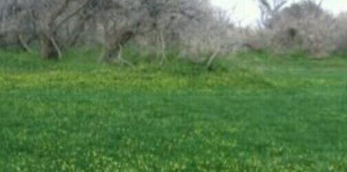 ali131243's profile banner image