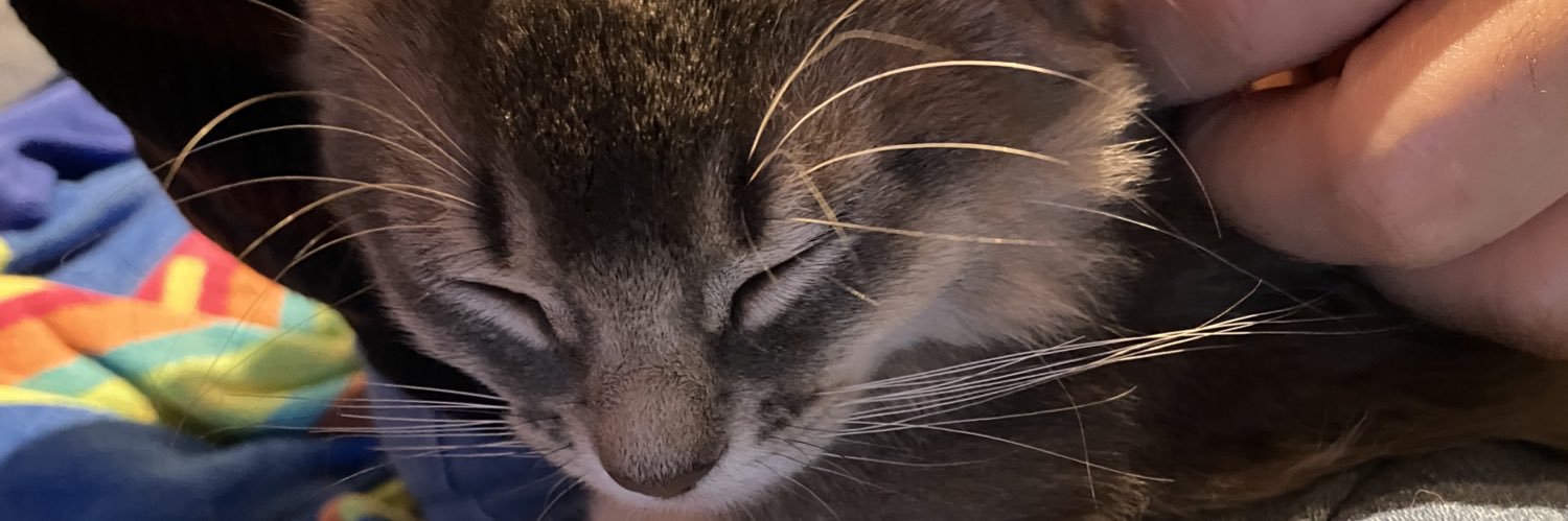 ミラクルちゅん@ルチルとラピス✨ banner