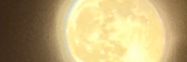 うめぼしおにぎり banner