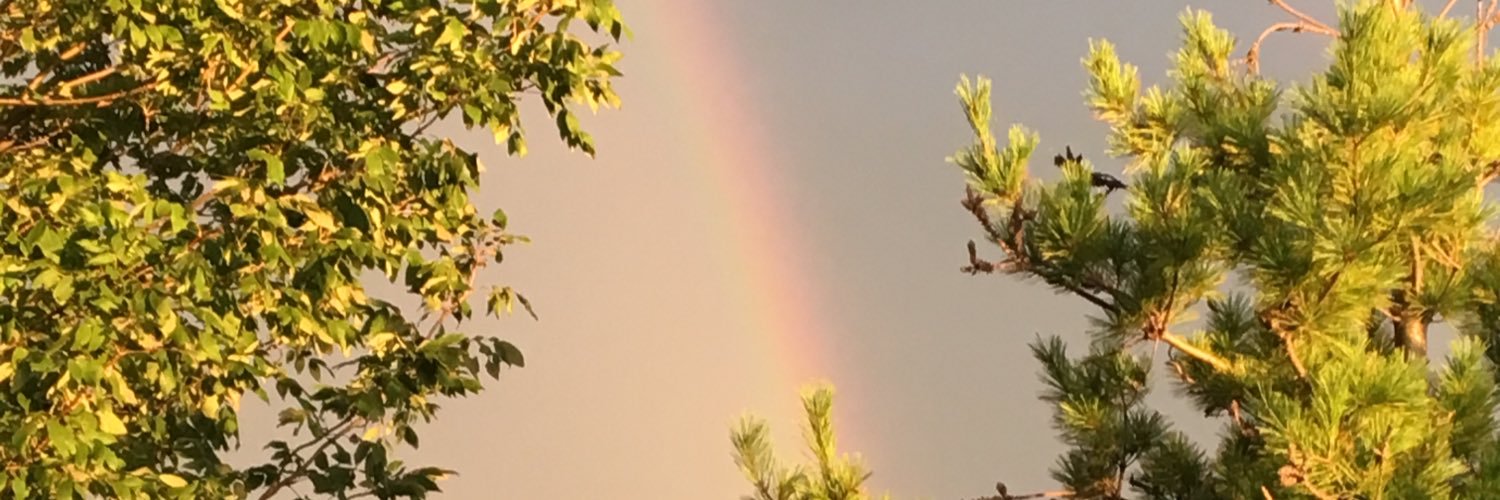 erindle89's profile banner image
