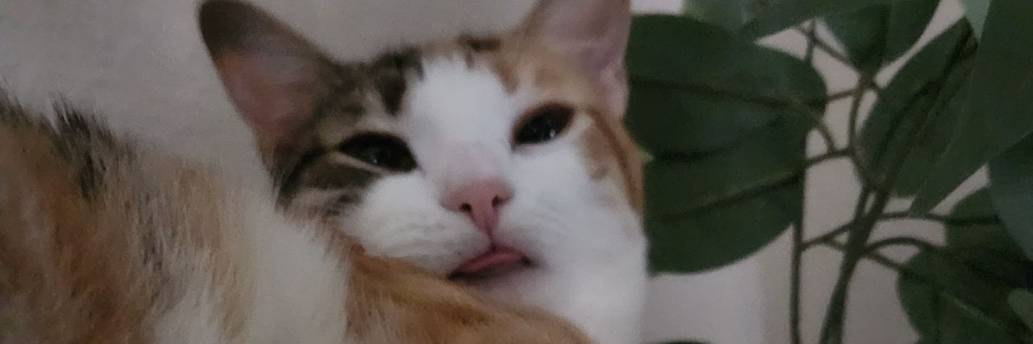 TannerMaple14's profile banner image