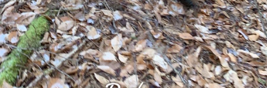 held_under's profile banner image