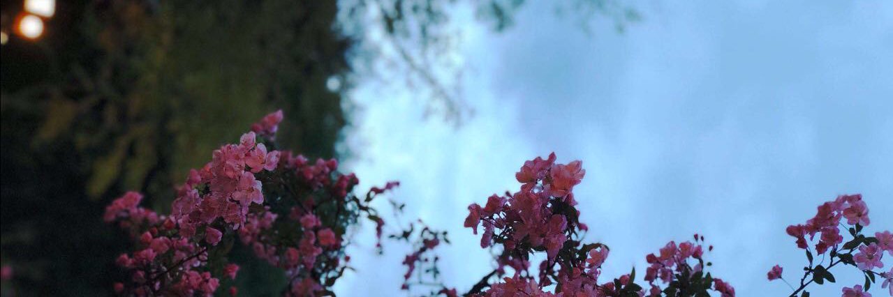 miim_t's profile banner image