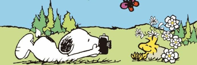 bananon2823's profile banner image
