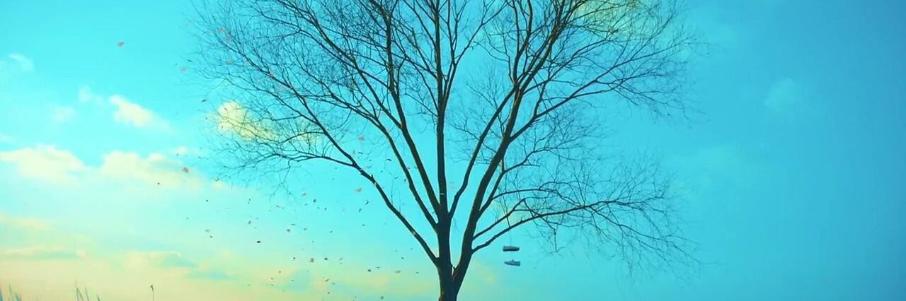 K10129295's profile banner image