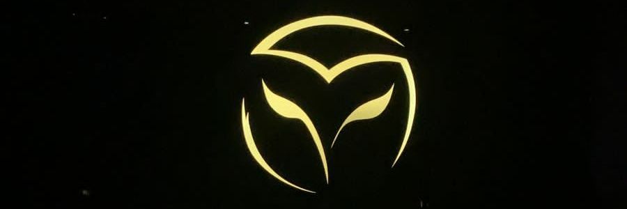 DelviMDiporo's profile banner image