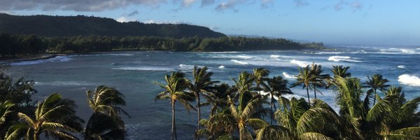 DavidRaichlen Profile Banner