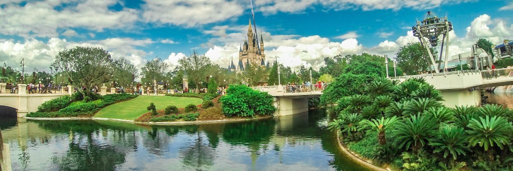 WDW Crane banner