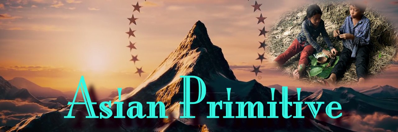 Asian Primitive banner