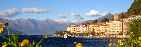 Paradosso Profile Banner