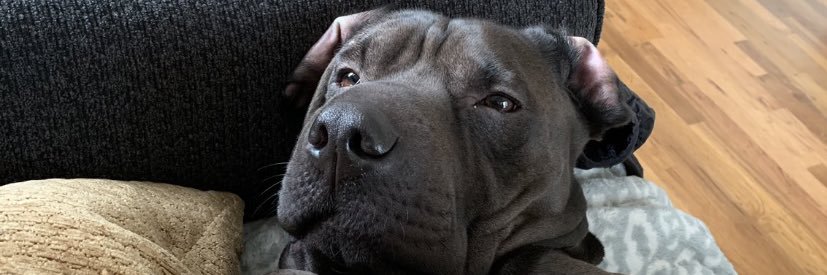 brooklynnrose_'s profile banner image