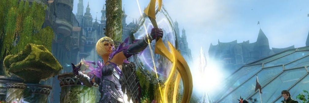 Christoper Stevens banner