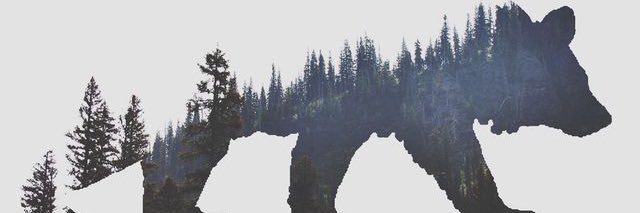 datboy_94's profile banner image