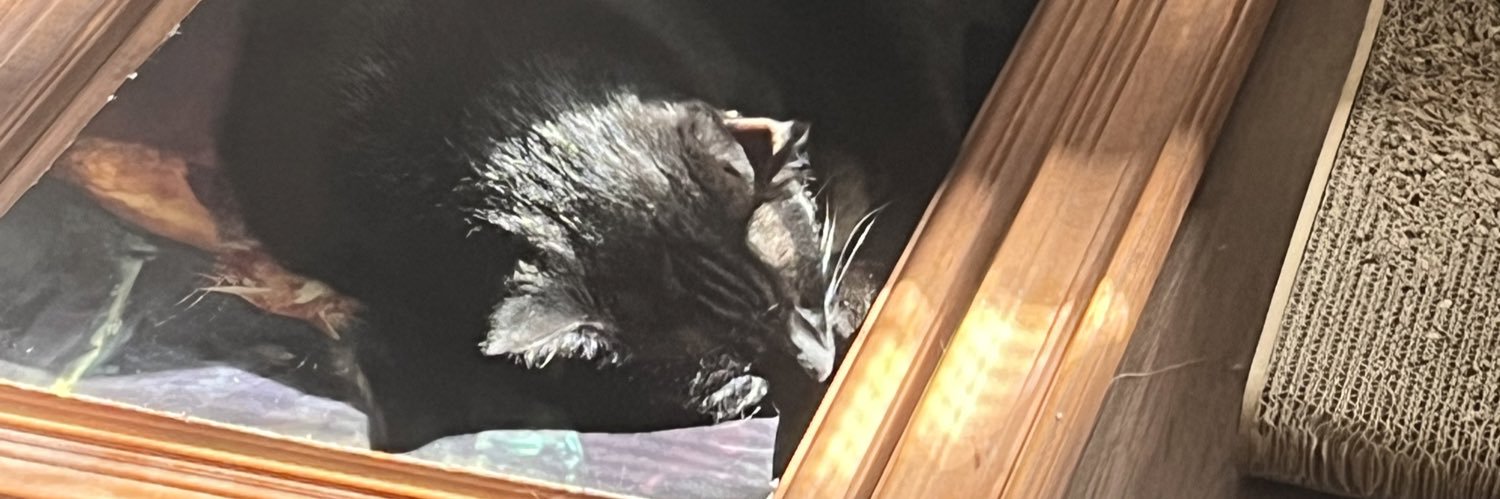 profCDXX's profile banner image