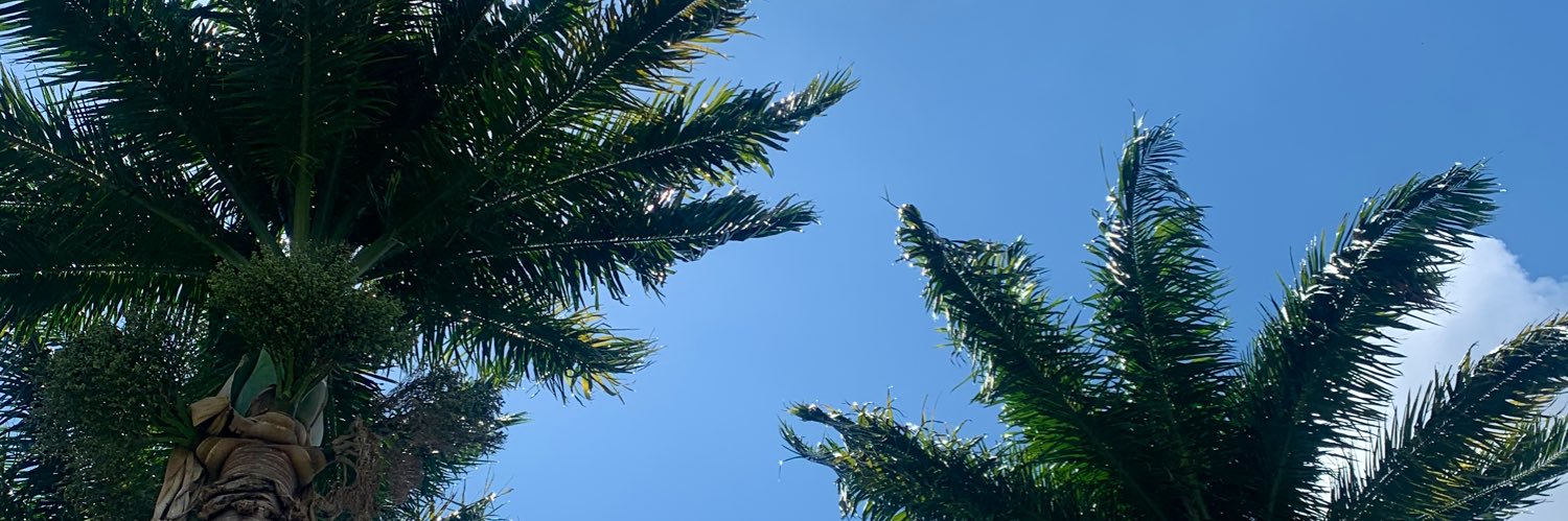 joaocasstrro's profile banner image