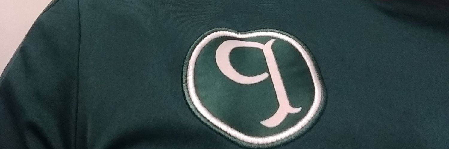 igor_pedrotti's profile banner image