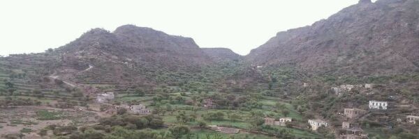 amin36449's profile banner image