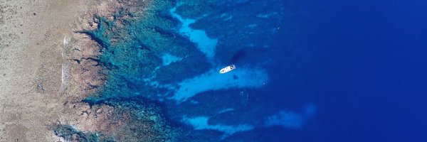 WaittInstitute Profile Banner