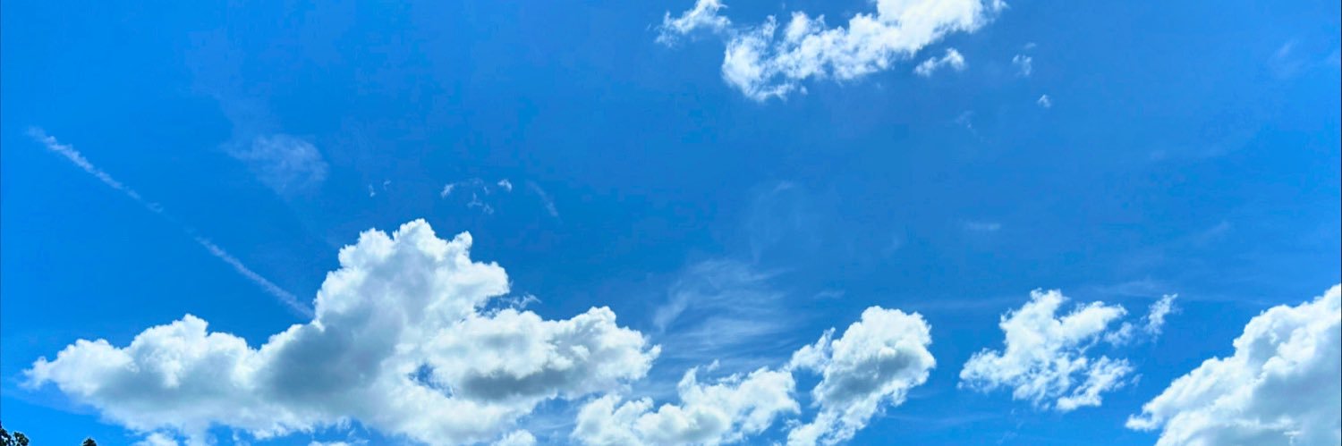 chiwawaaz's profile banner image