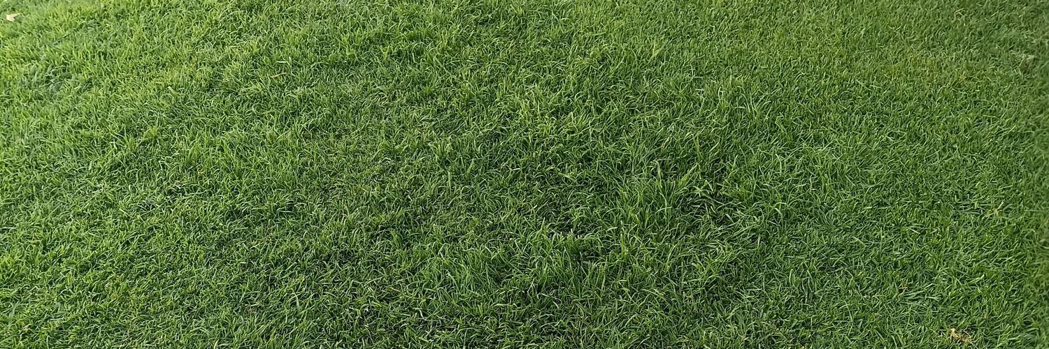 EMarquitus's profile banner image