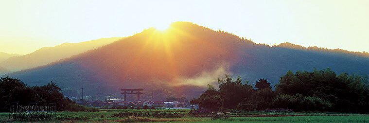 藤白 小鈴（cotu-cotu） banner