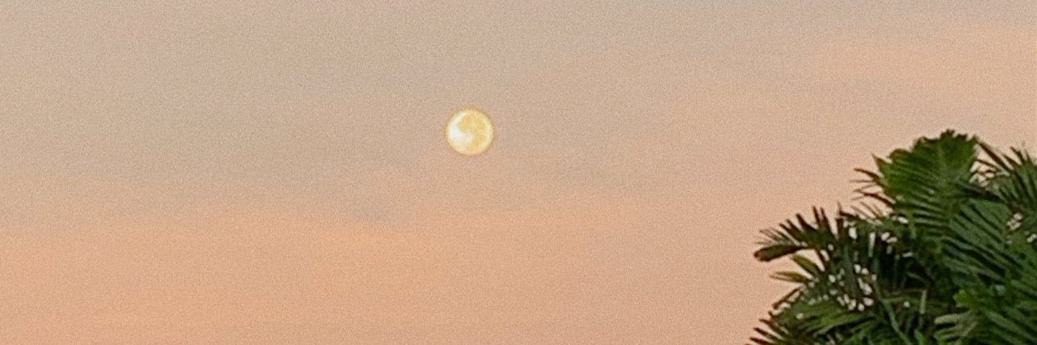 gncles's profile banner image