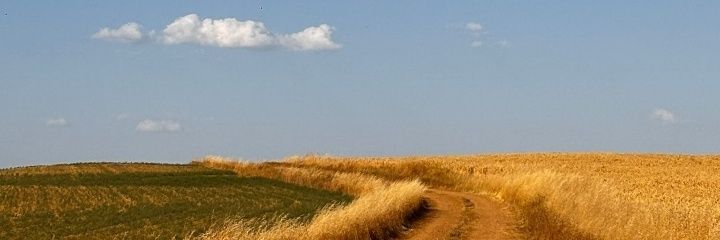 raullopezmart's profile banner image
