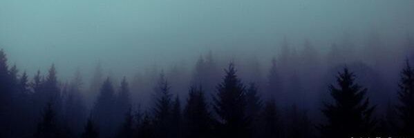 Sebastian_NS's profile banner image