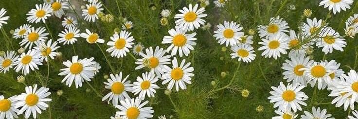 ria ☁️ banner
