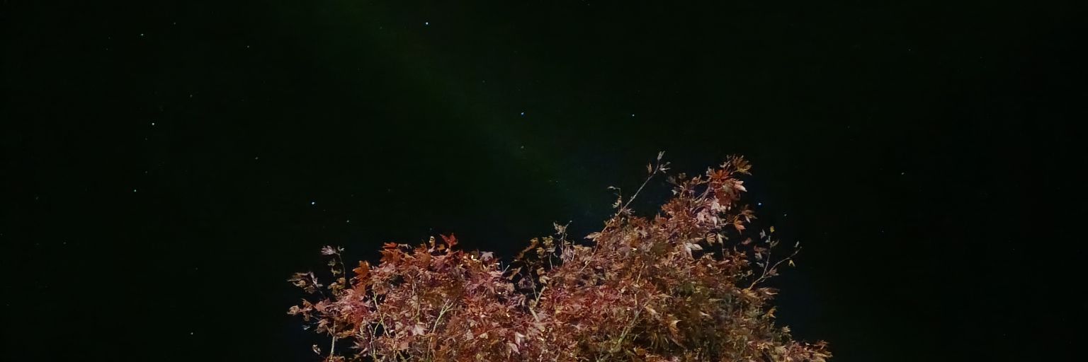 prazdnoanicvic's profile banner image