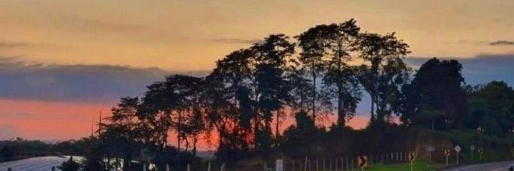 kikamazo's profile banner image