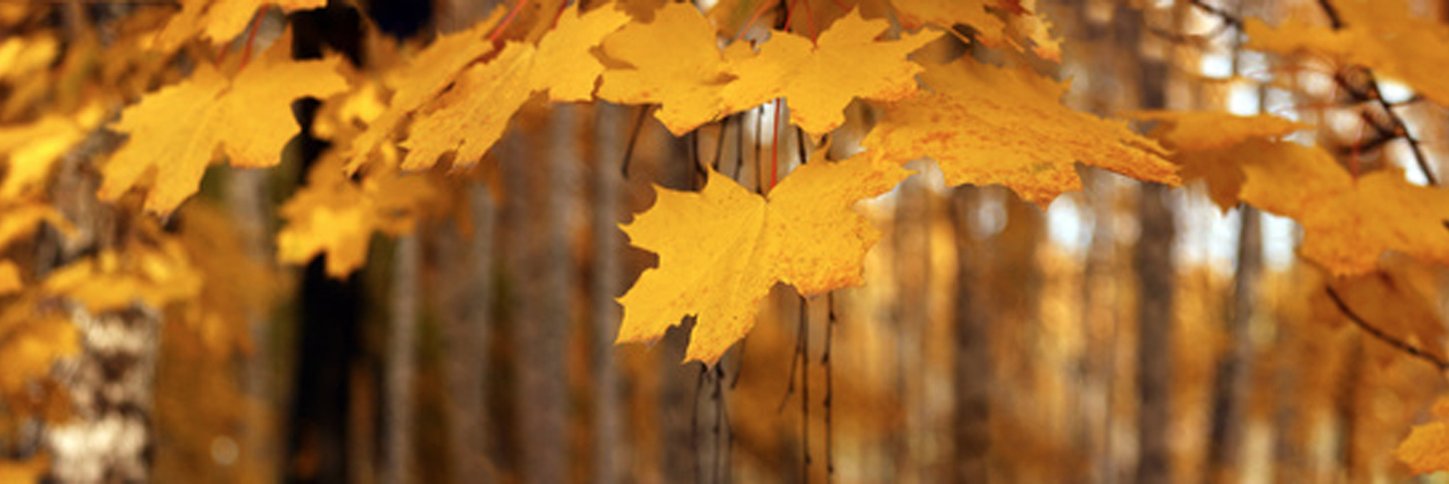 2ab_CA's profile banner image