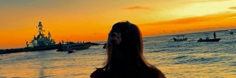 dhin0saurus's profile banner image