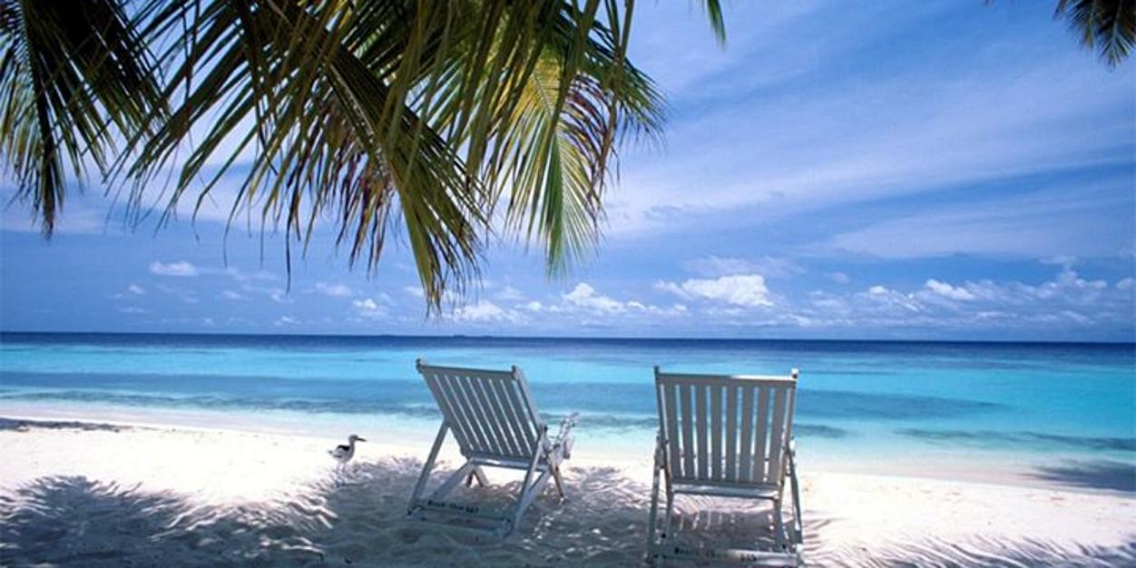 denisechaves's profile banner image