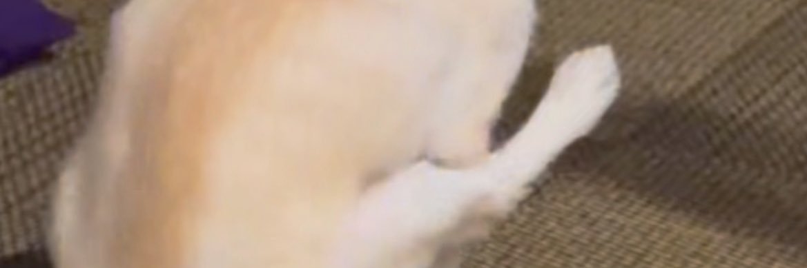 r_e_n2000's profile banner image