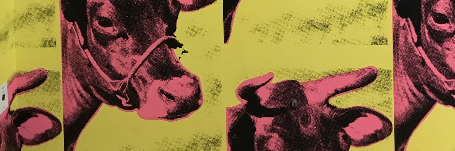 ahnuhleesuh's profile banner image