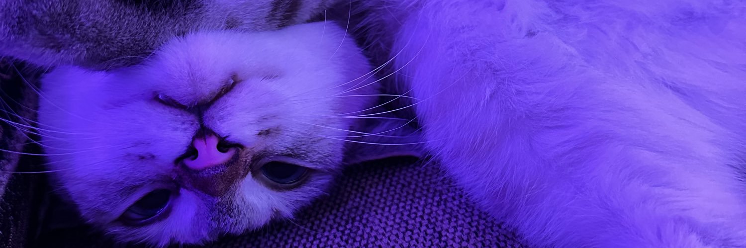 kelprada's profile banner image